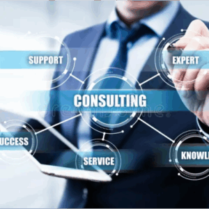 Project Consulting